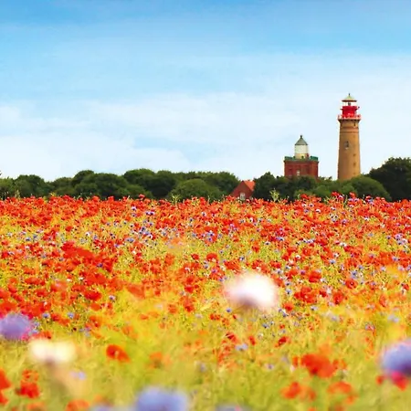 아파트 Kleine Ausblicke - Ostsee, Altstadt, Nationalpark! *
